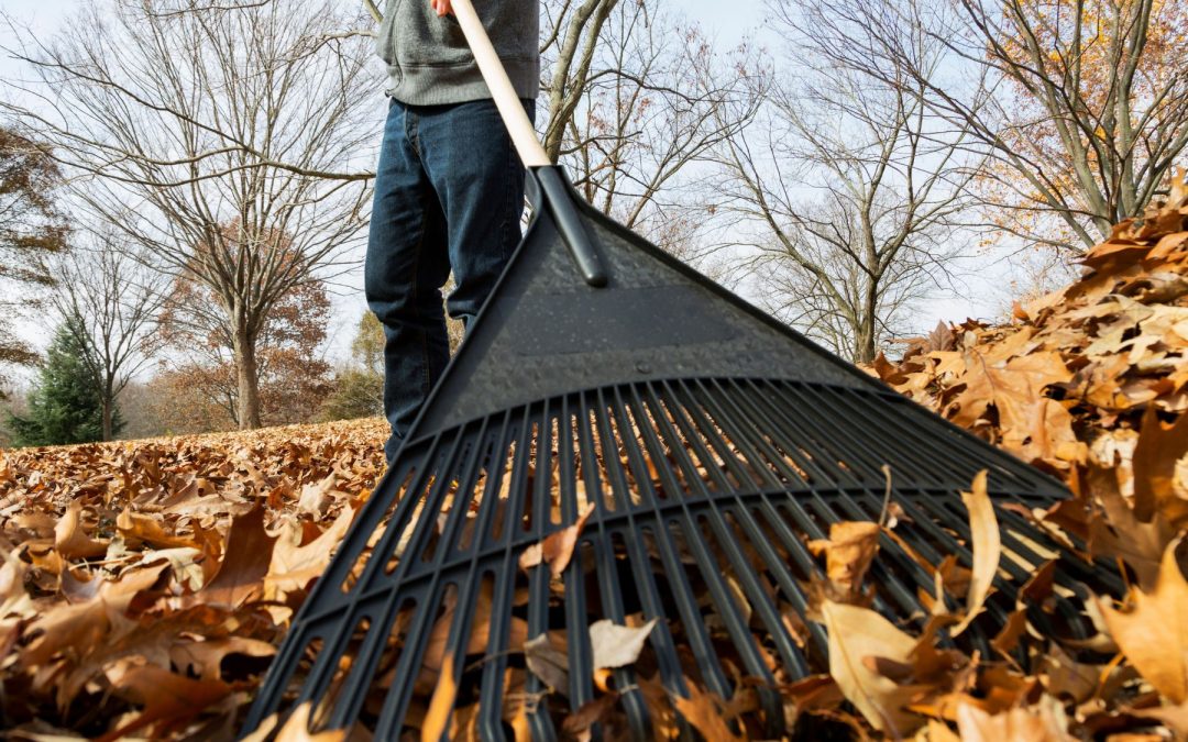 Protect Yourself During Fall Cleanup