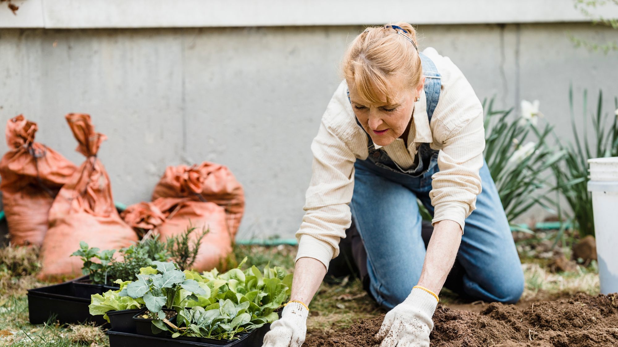 How to Prevent Gardening Injuries - Buffalo Rehab Group
