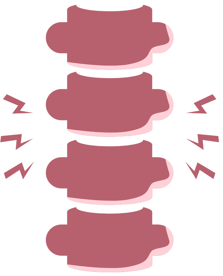 Image of a spine in the BRG Pelvic Floor Therapy brand colors used as a visual for core, hip, and low back concerns.